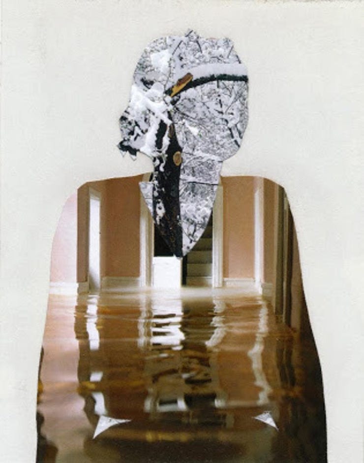 Melinda Gibson, Photomontage XVII, (taken from pages 25,105, 149), (2009-2010)