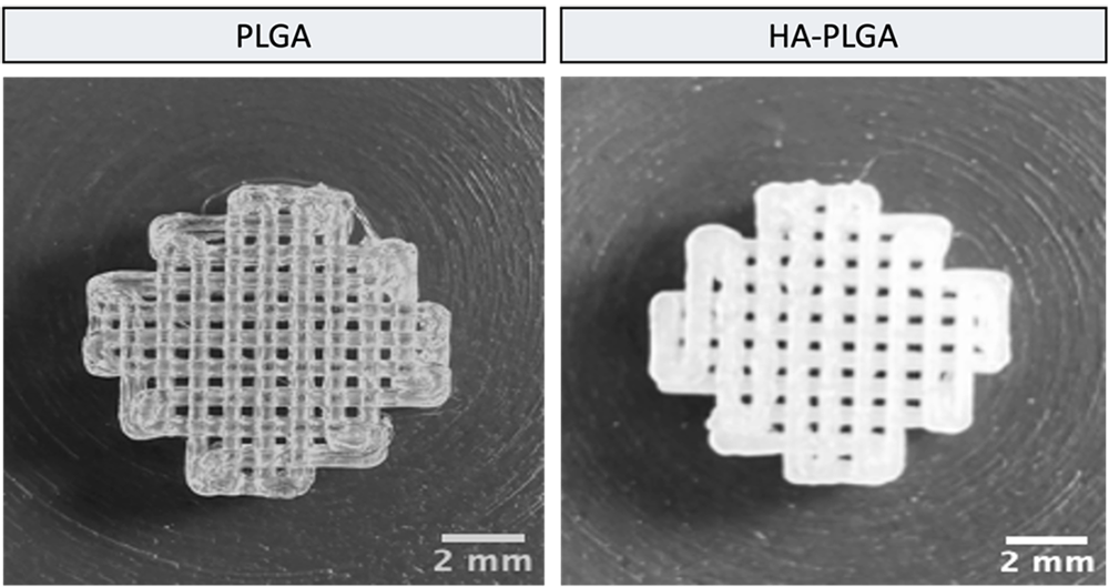 MicroporousScaffolds_1000x529