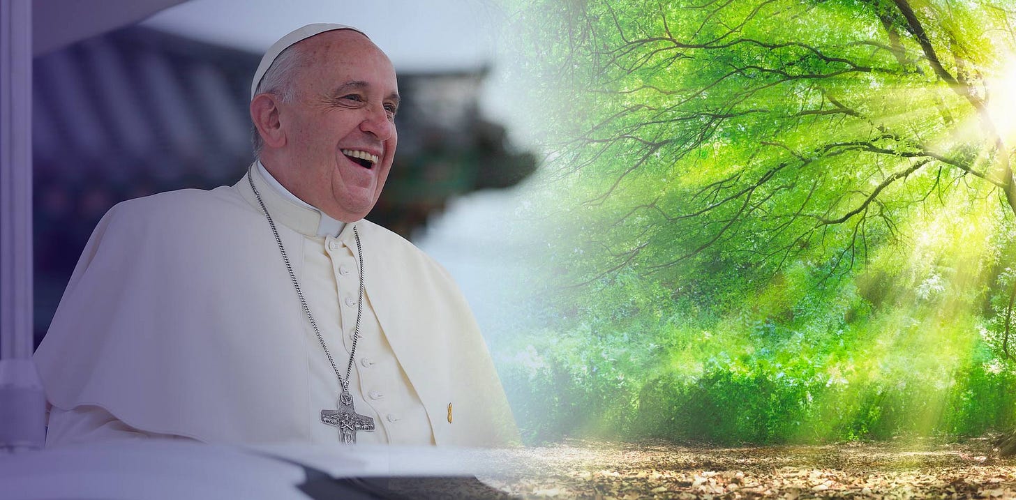 Laudato Si': why it matters more than ever 10 years on | Development and  Peace