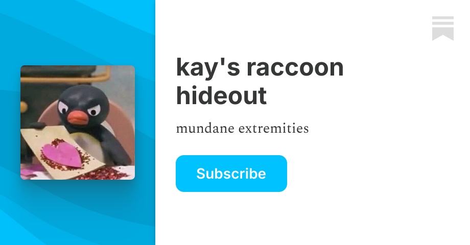 kay's raccoon hideout | Substack