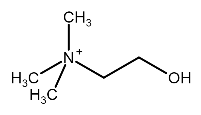 Choline - Wikipedia