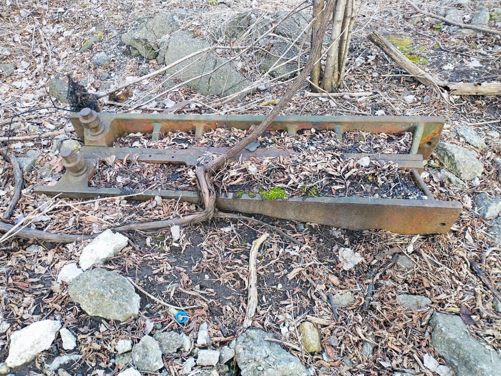 Metal machinery and rubble embedded in soil and overgrown
