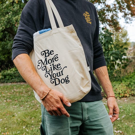 awkward man frolics around stream with dogs wearing very nice merch from be more like your dog
