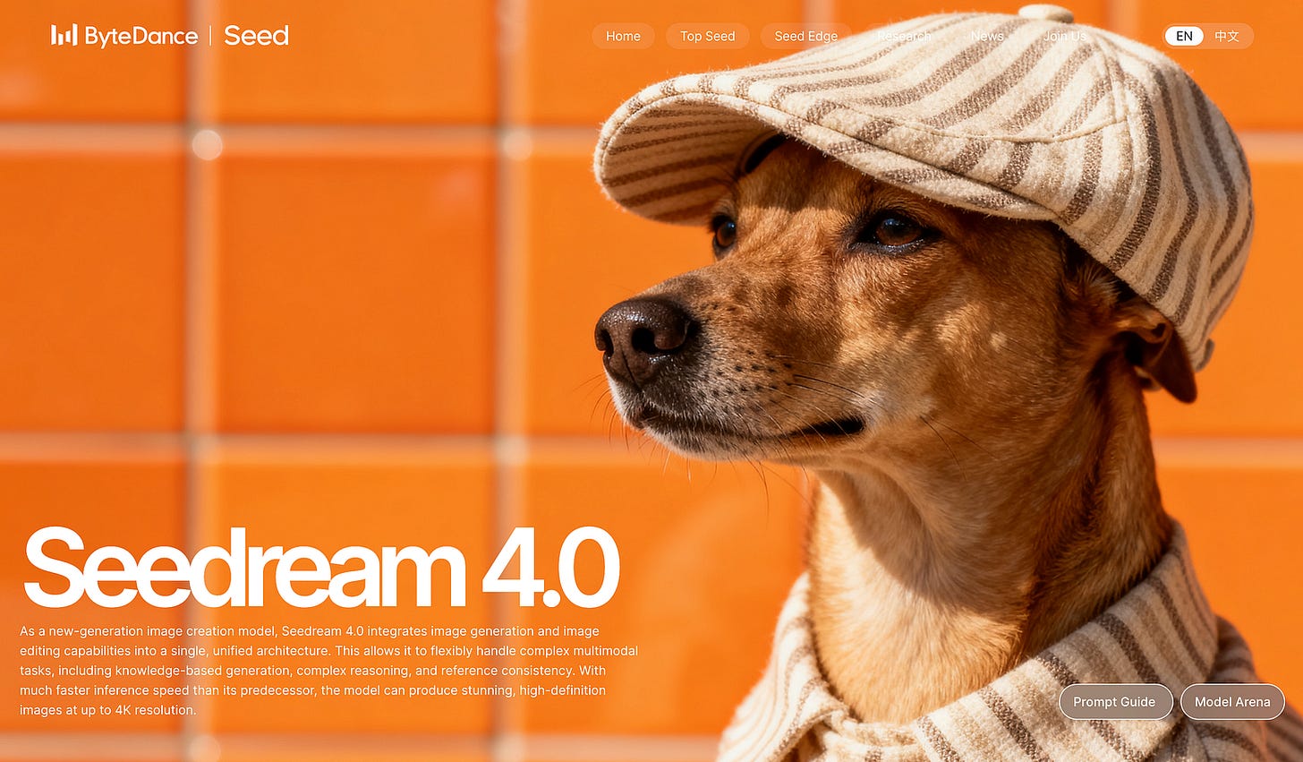 Seedream 4. Image from Seedream website