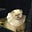 Flannery Dean's avatar