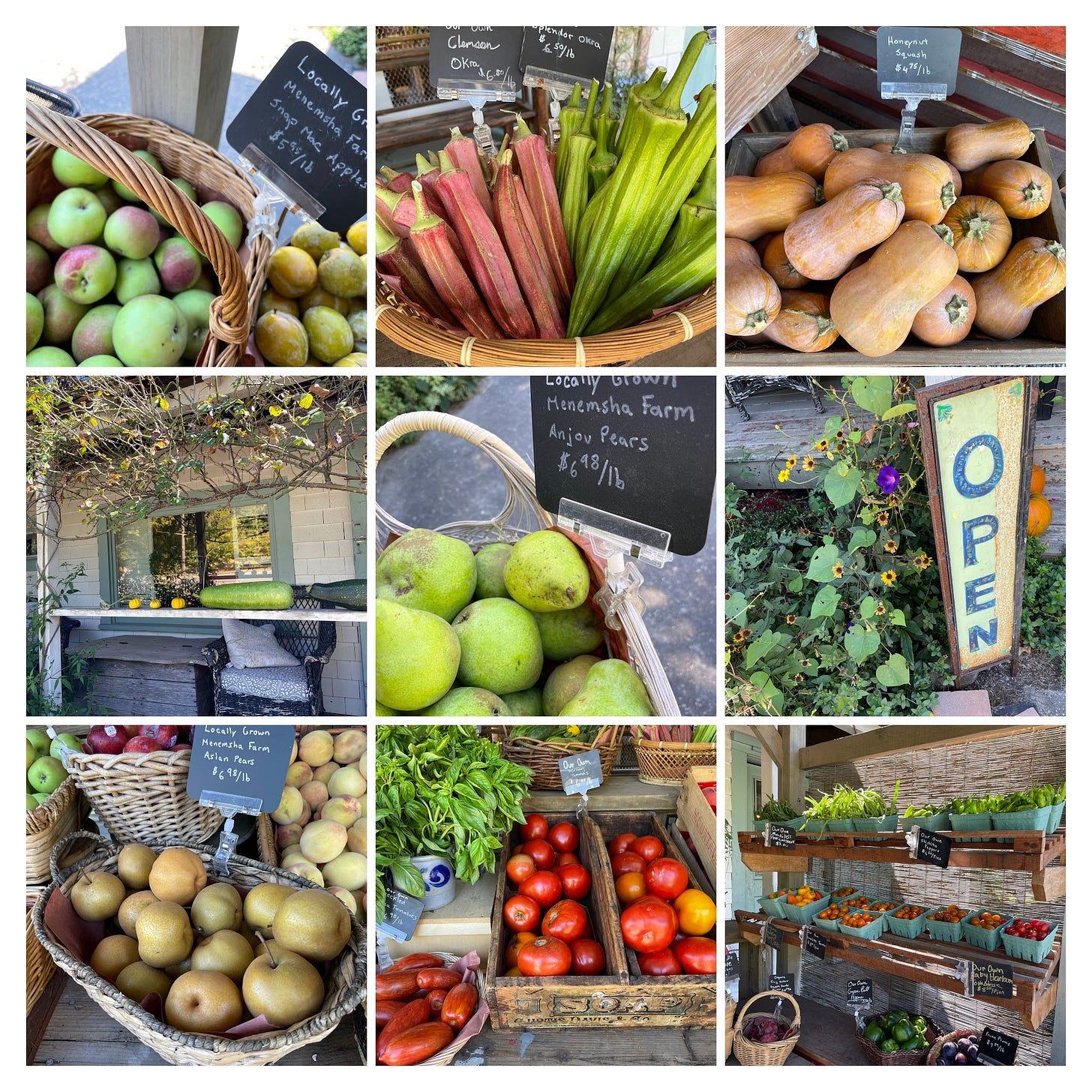 Fall produce at North Tisbury Farm & Market, Cook the Vineyard