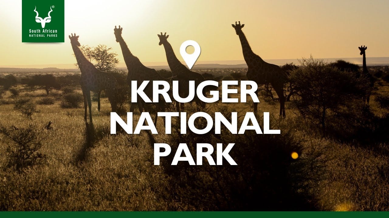 Kruger National Park – SANParks