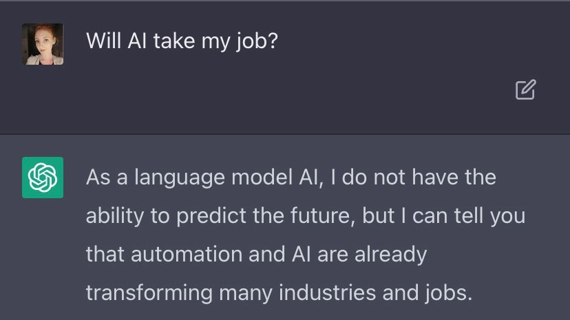 Interview with ChatGPT