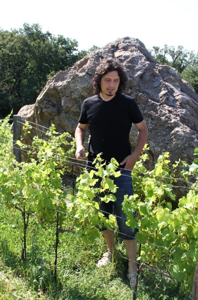 Miha shows off some young Vitovska vines