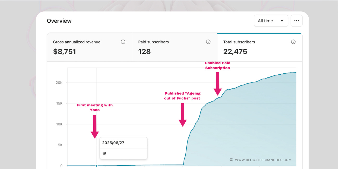 Write2Sell Case Study: How Ellen Scherr Built a $6,079/Month Substack Business in Mental Health (Starting From "I Hate Writing")