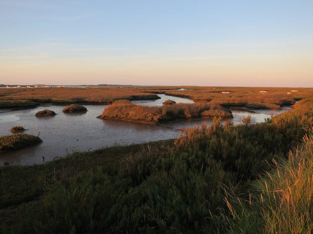 Brancaster Marsh