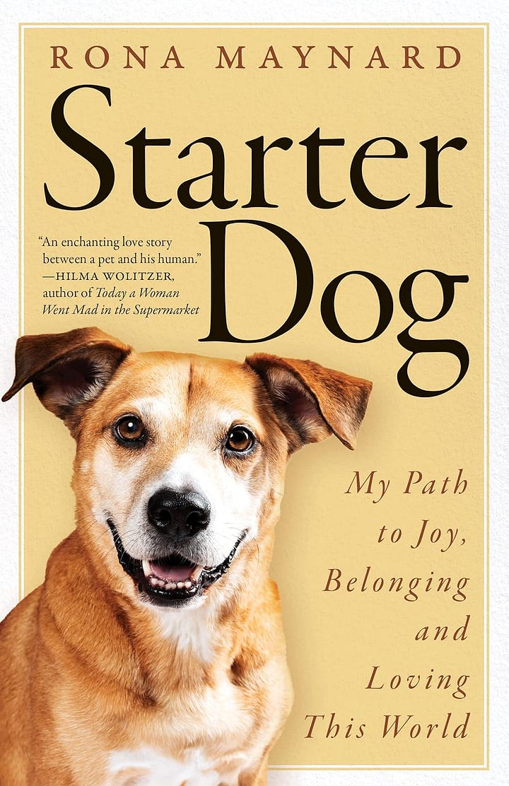 Covers of two books about dogs--The Sailor Dog by Margaret Wise Brown and Starter Dog by Rona Maynard