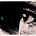 Nicole Boychuk's avatar