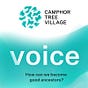 voice - The Podcast's avatar