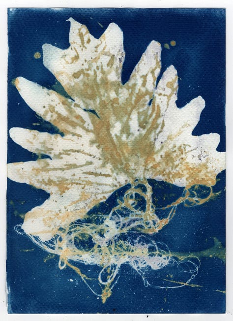 3 cyanotype prints by Ochie Winaga