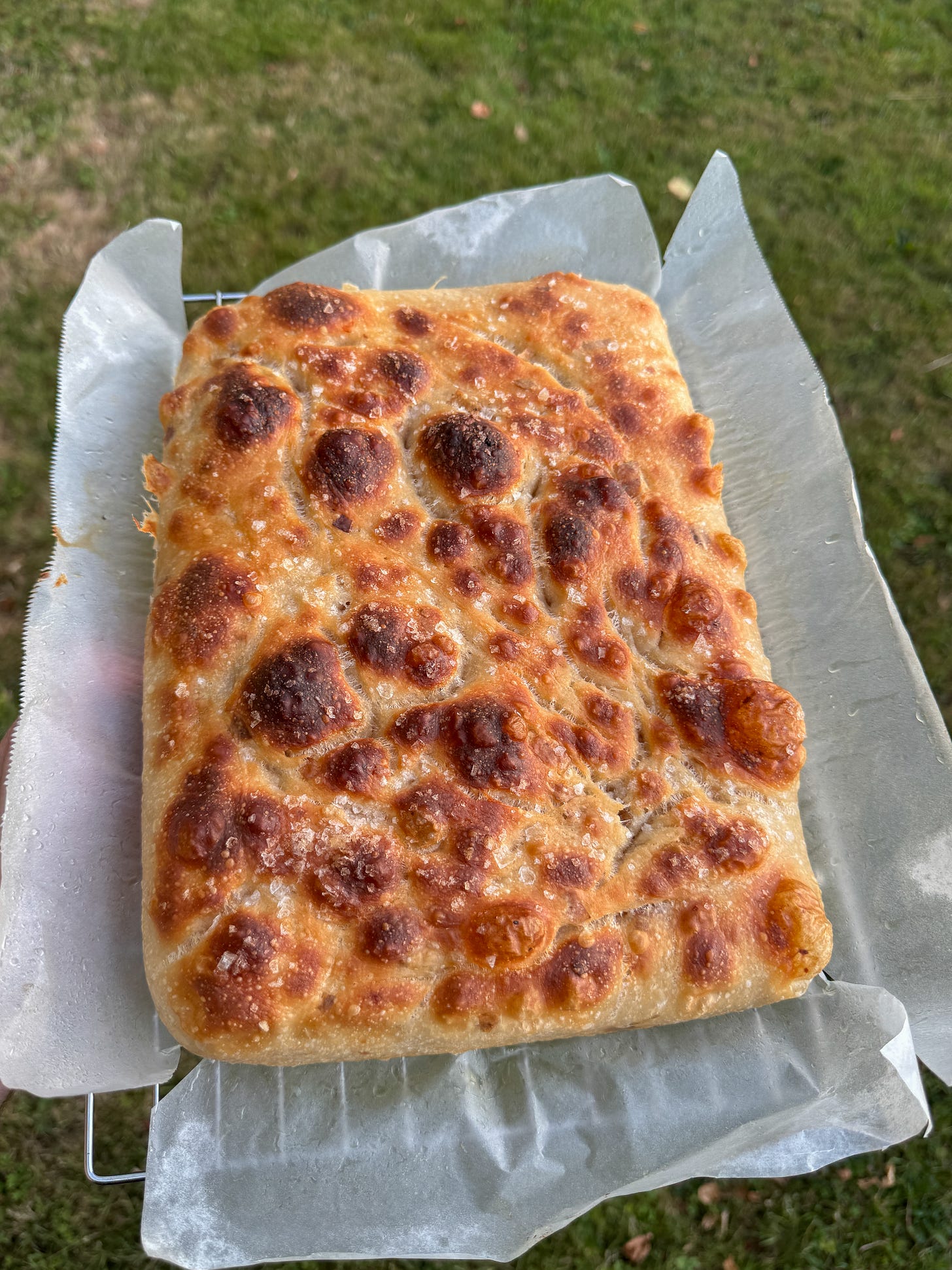 baked focaccia