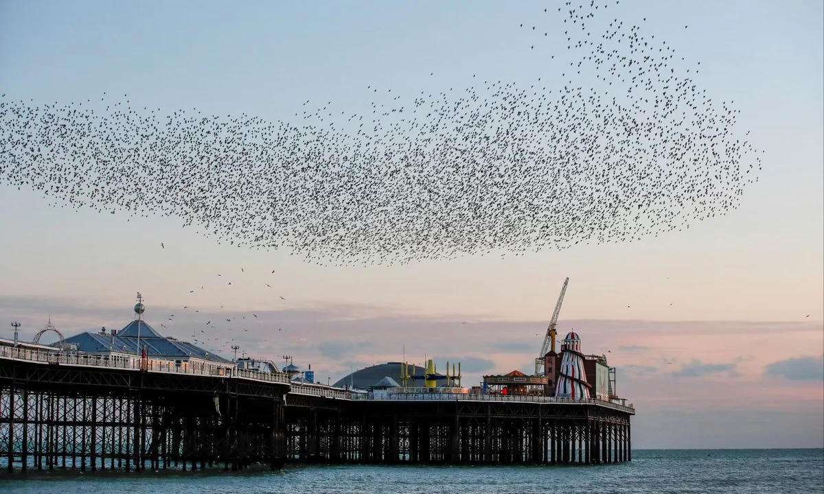 Brighton