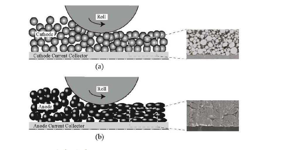 Microstructure evolution schematic of battery electrode coating during calendering roll-pressing: (a) cathode electrode sheet showing particle rearrangement and void collapse; (b) anode electrode sheet — illustrates how powder compaction density increases with applied calendering pressure