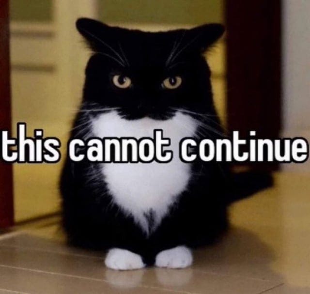 This cannot continue cat : r/MemeTemplatesOfficial