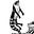 bilzard's avatar