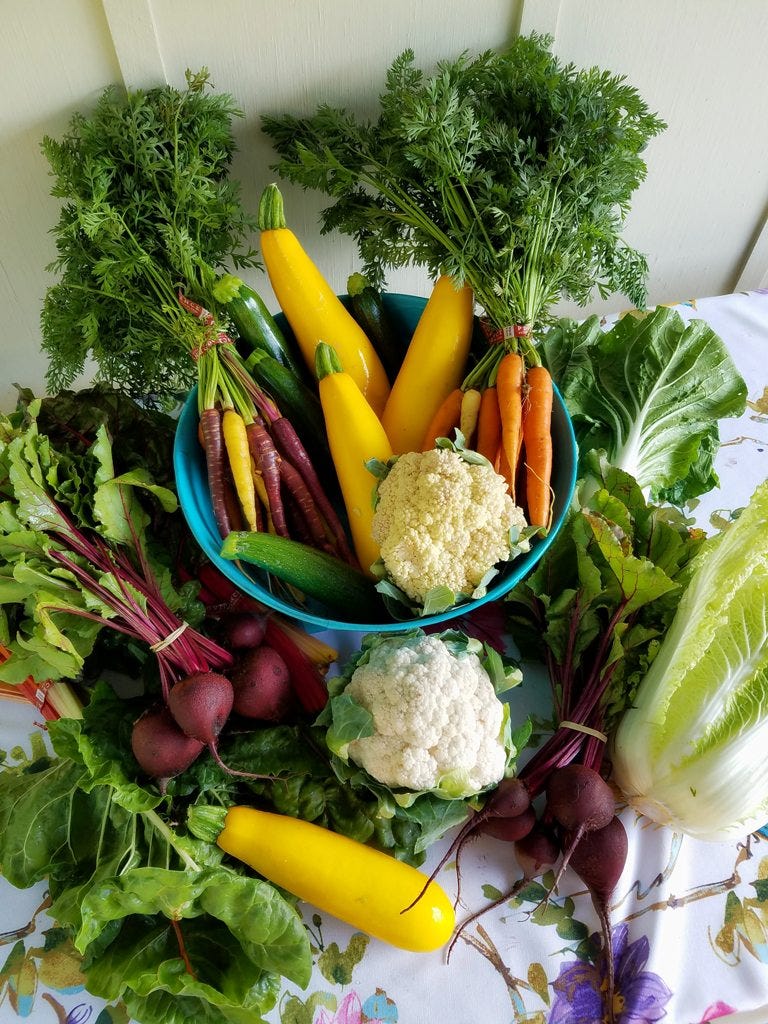 Summer Seasonal Produce Summer Seasonal Produce