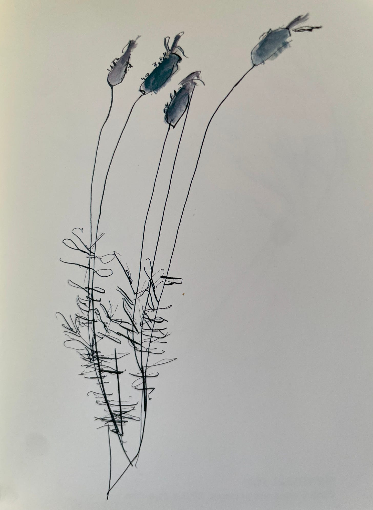 Simple stems the suggest cattails or a similar weed, bending in a breeze.