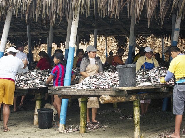 Another picture of locals working in the chop shacks Another picture of locals working in the chop shacks