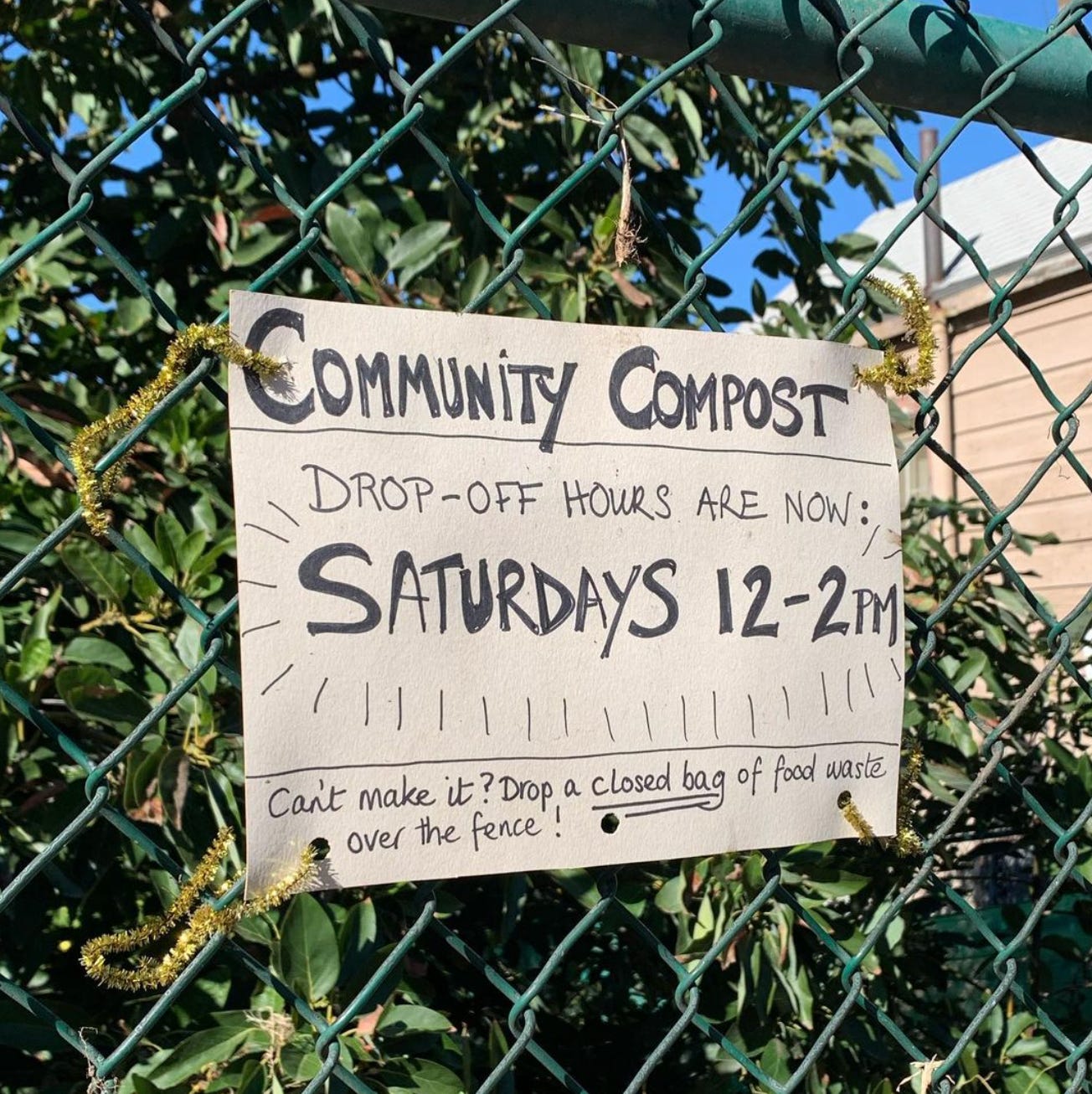 A compost anniversary - by cass marketos - The Rot