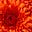 bahhummingbug IV substack's avatar