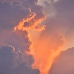 indie poetry collective