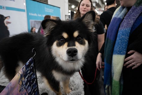 Nikon Z50 II camera review