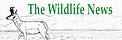The Wildlife News
