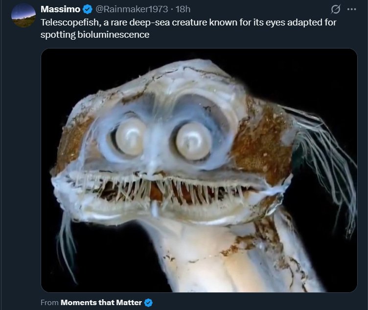 Top 20 Posts - Aug. 17, 2025