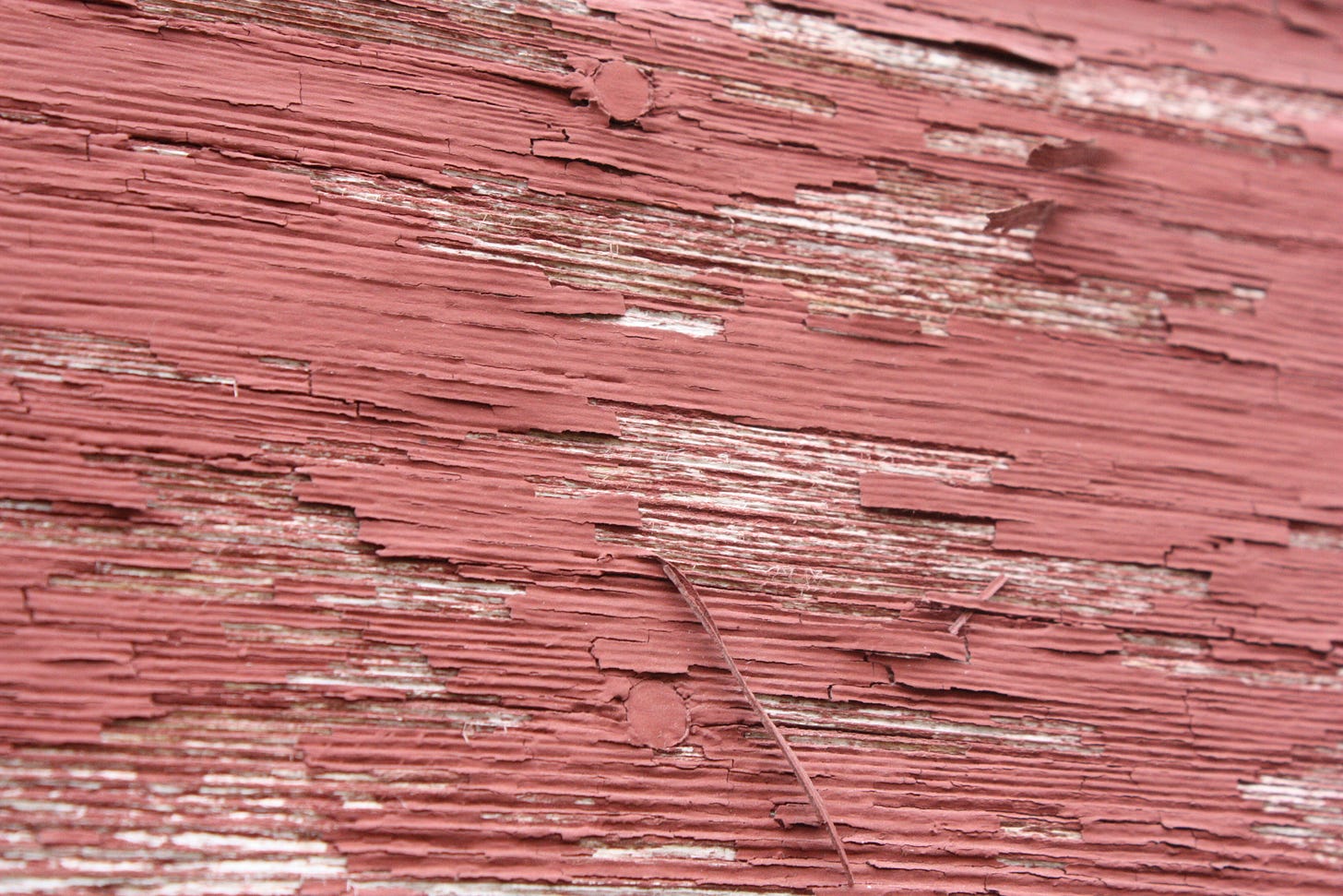 Paint on a barn board