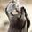 Otter's avatar