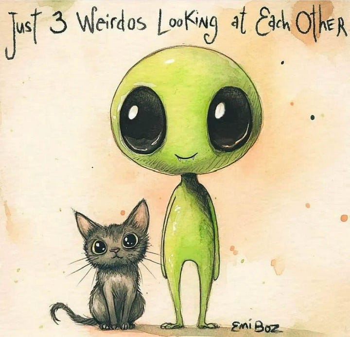 Day Brighteners (or not)