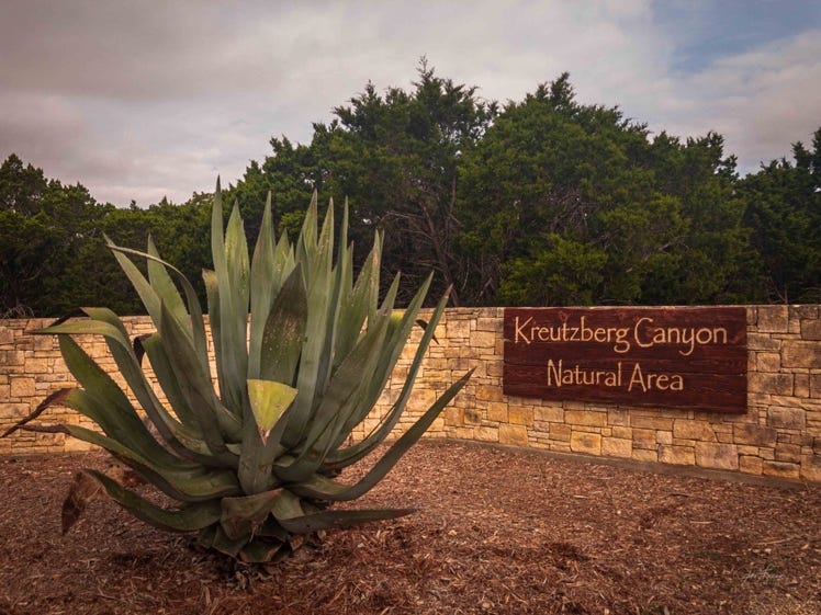 A large plant in front of a sign

AI-generated content may be incorrect.
