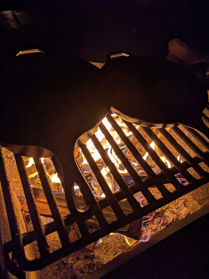 Cast iron with grilled cheese cooking over the camp fire. One of my small basil and tomato plants from gardening adventures this summer.