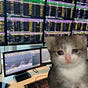 Quantike's avatar
