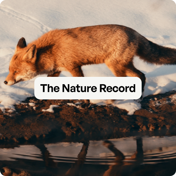 The Nature Record logo
