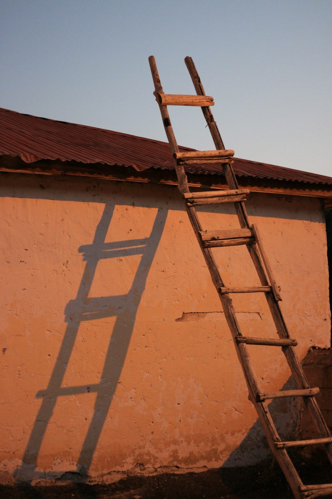 brown metal ladder leaning on wall