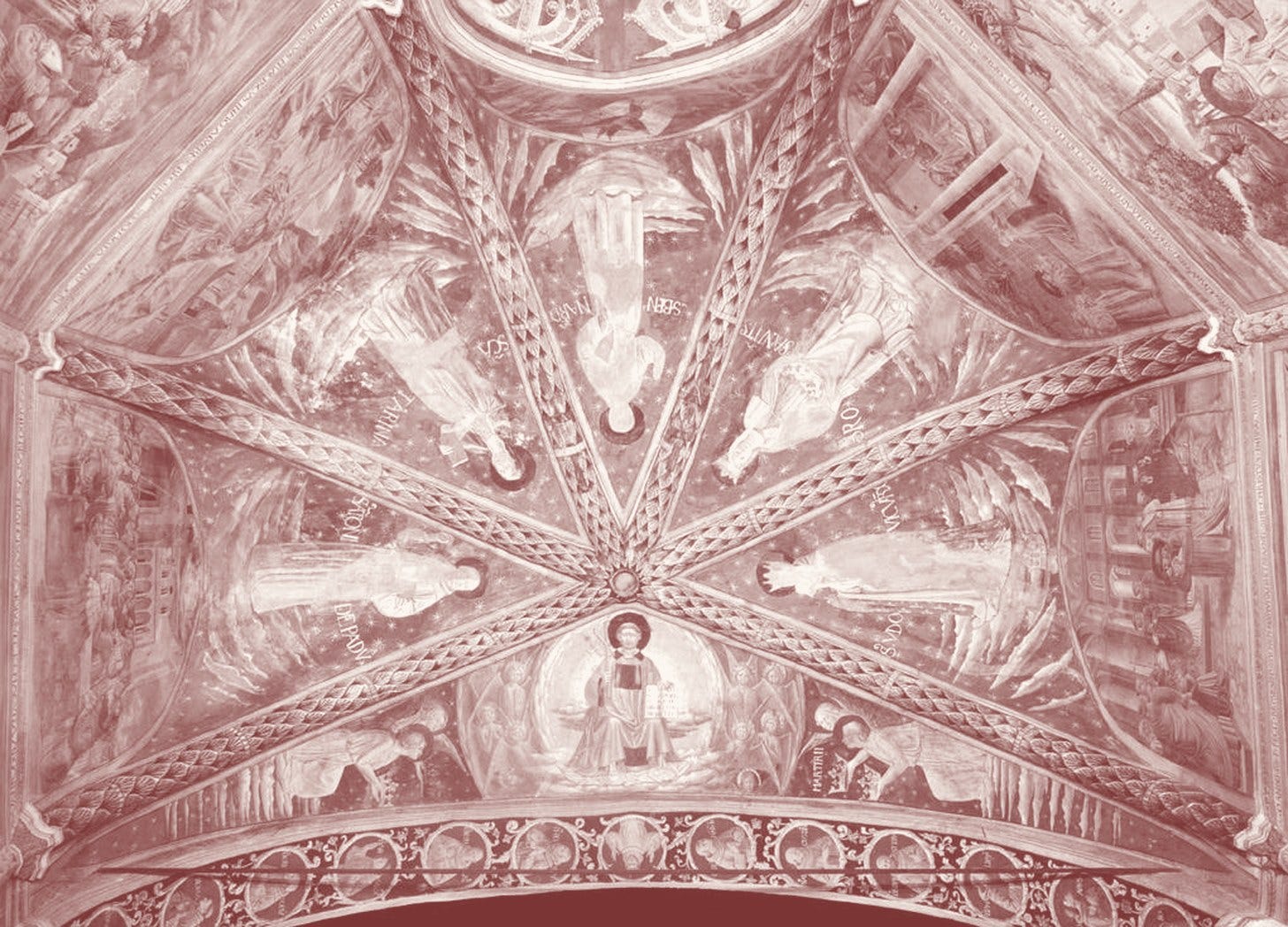cover cover