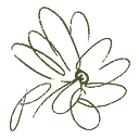 The Open Journal with Pamela Anderson