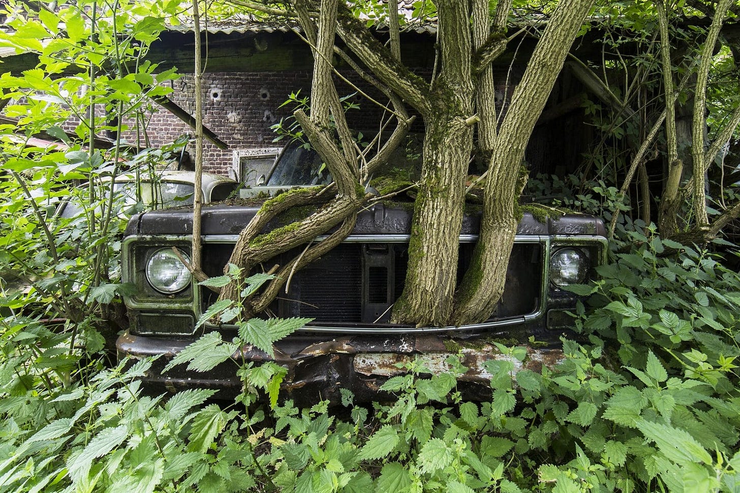 Nature Reclaims Abandoned Castles, Theaters, and Monasteries in Photographs  by Jonk — Colossal
