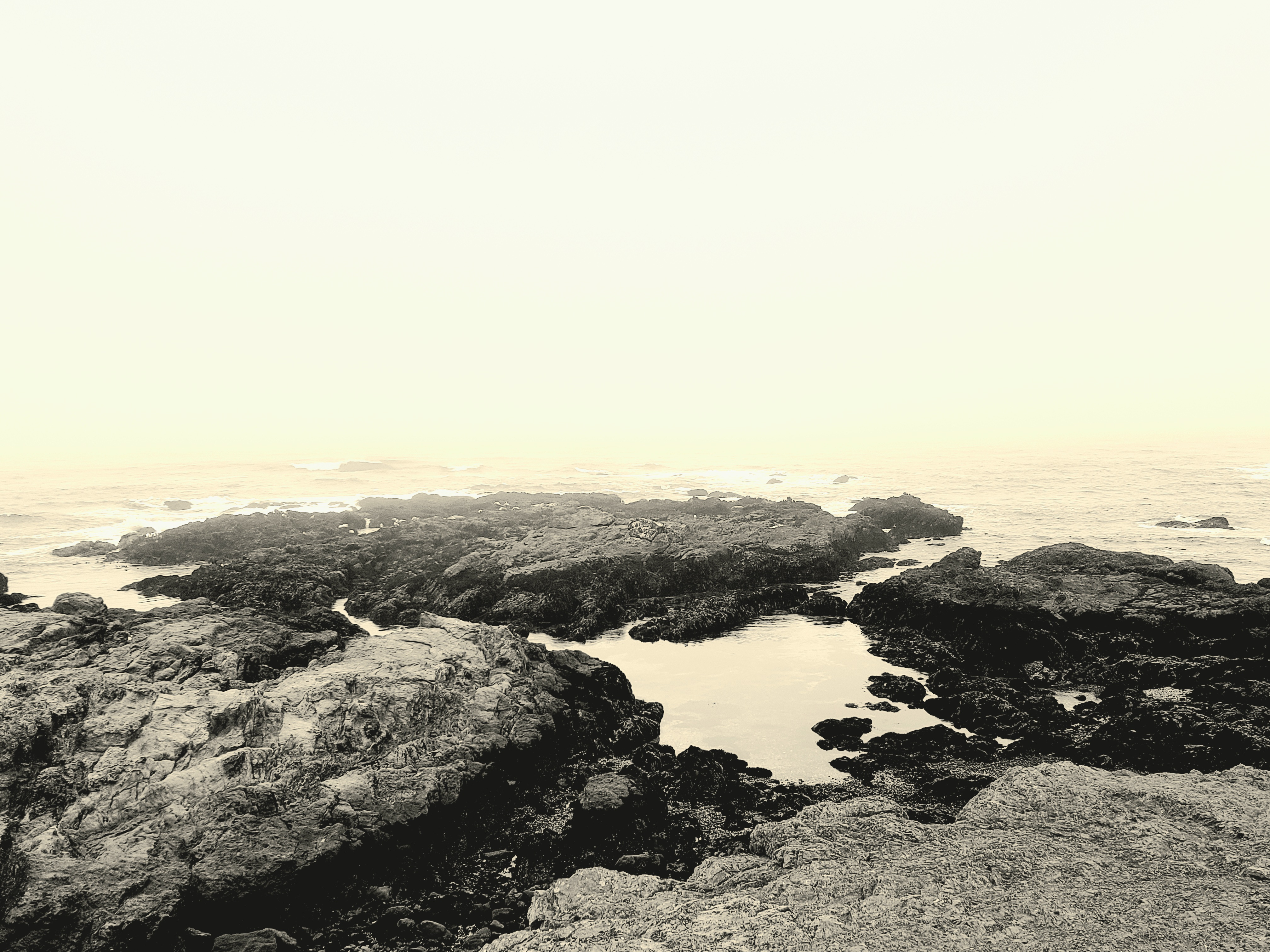 Spencer’s Cult of Forbidden Horrors 