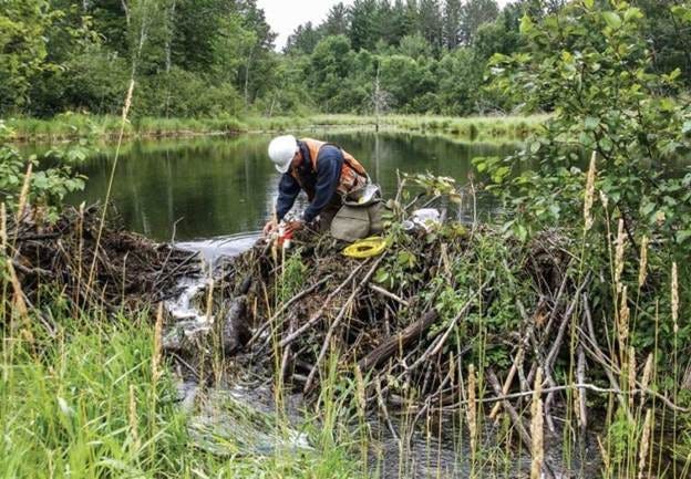 A person in a white helmet and orange vest cleaning a river

AI-generated content may be incorrect.