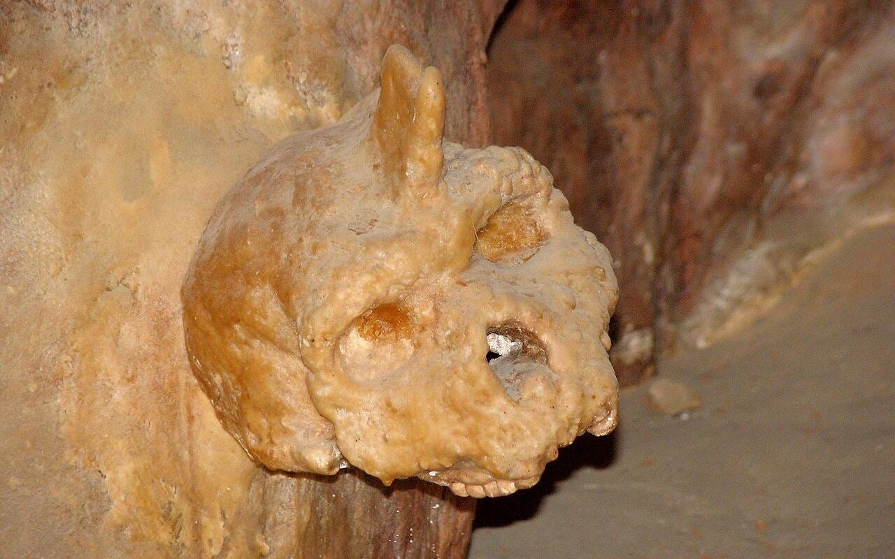Mystery hominin skull discovered in 1960 dated to at least 286,000 years old