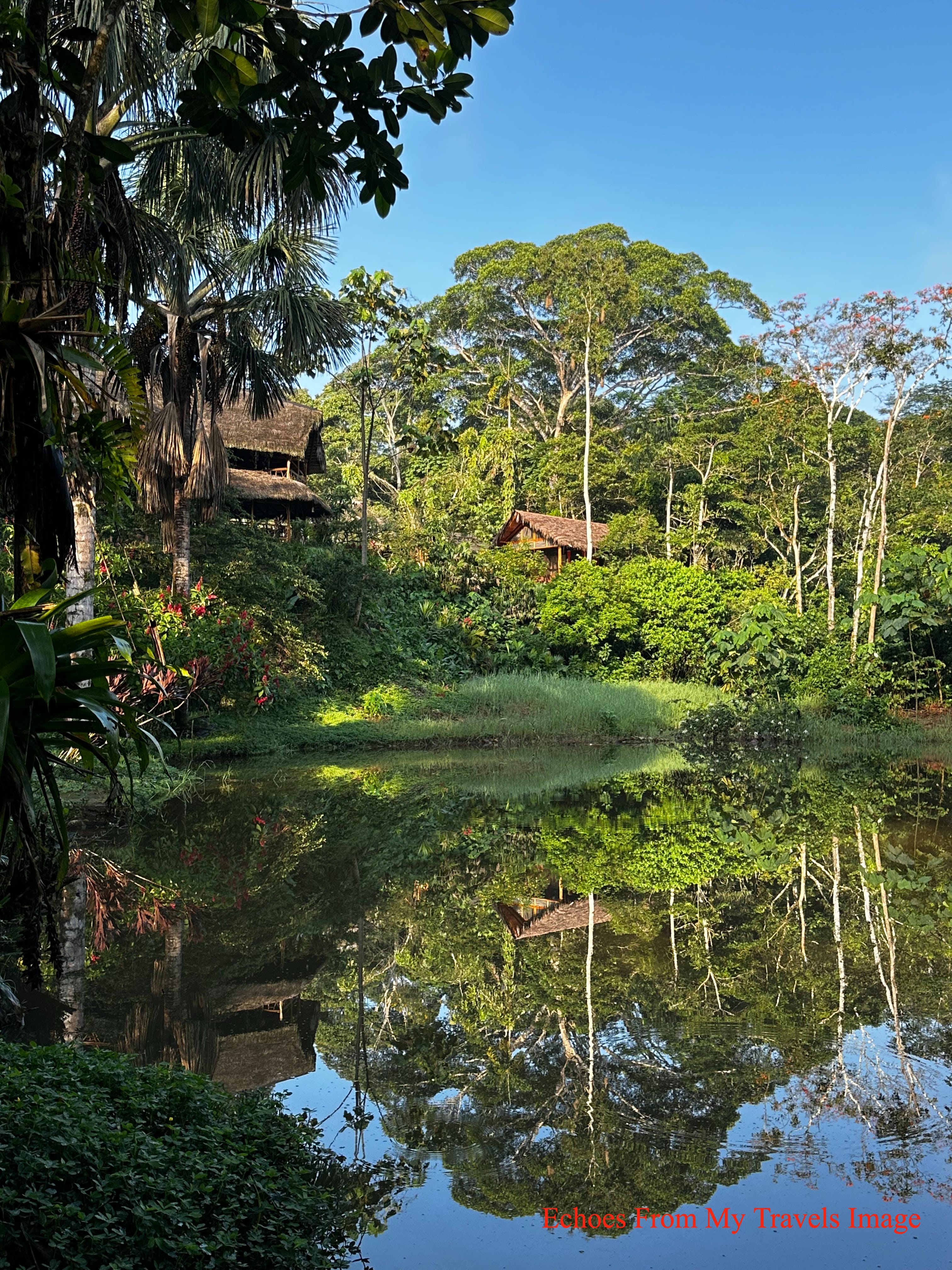 亞馬遜雨林，尋找大自然神秘療癒力量- by 刁冠群- Echoes From My Travels