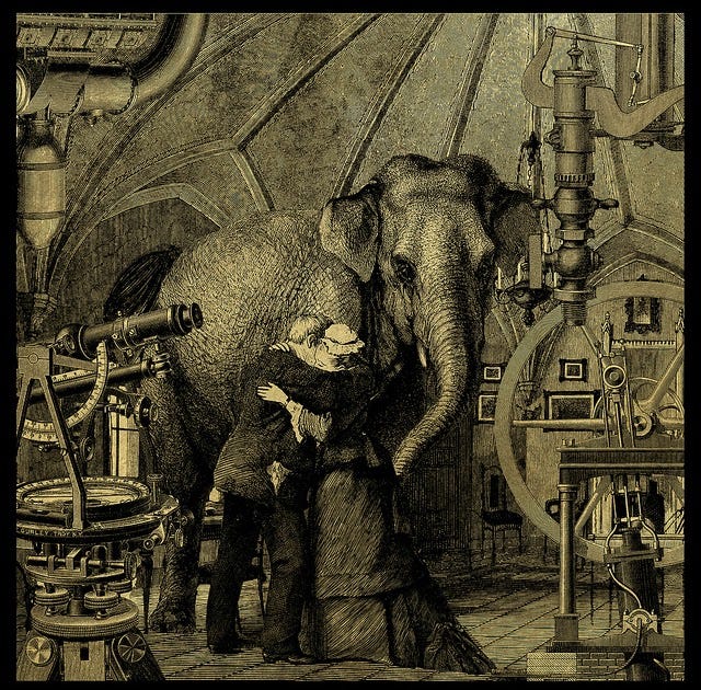 The Elephant in the Room ~ Kuriositas