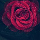 Becoming Your Own Love Spell